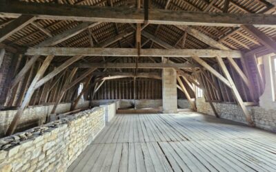 Expertise des charpentes en bois : 30 ans d&rsquo;expérience, de la construction à l&rsquo;expertise